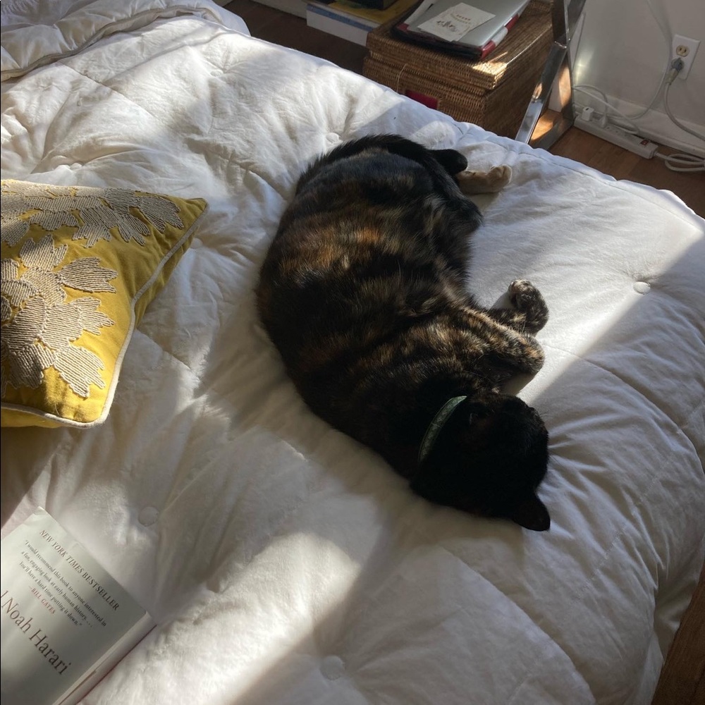 Meet your Posher, Tallah